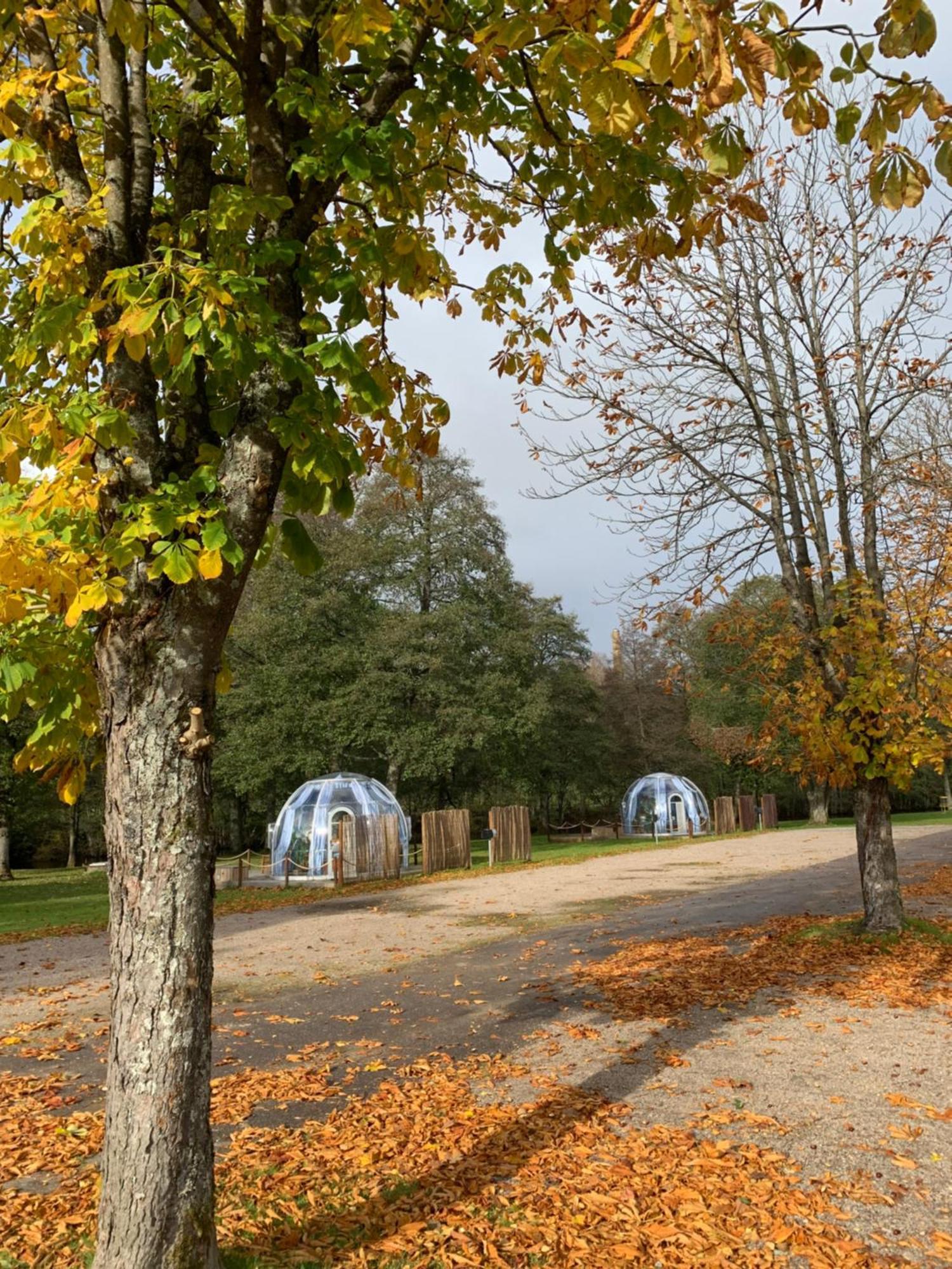 Boras Camping & Vandrahem Dış mekan fotoğraf